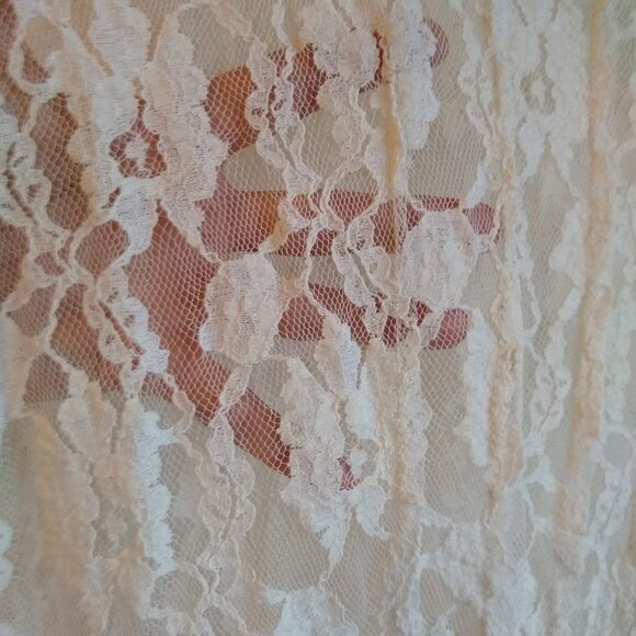ZARA off white Elegant Sheer Floral-Lace dress NWOT - Picture 3 of 7